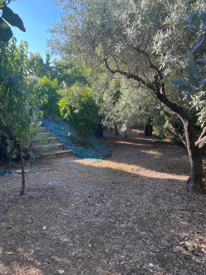 Villa 180 M2 Piscine Draguignan Exterior photo
